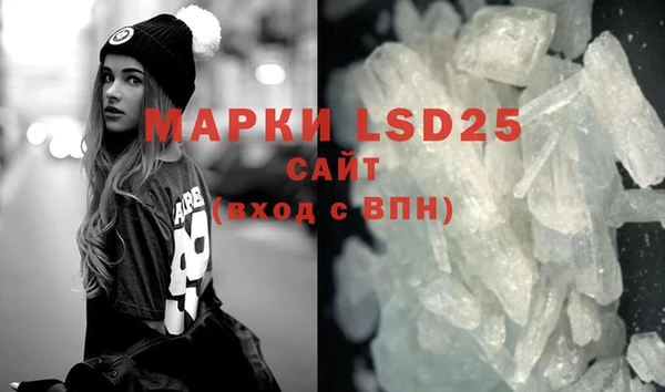 индика Дмитров