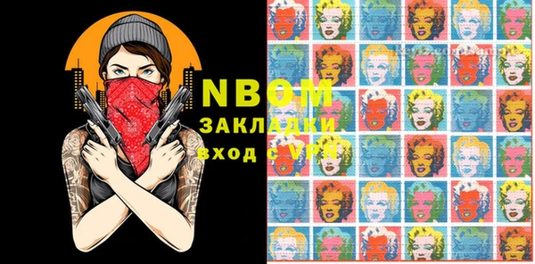 индика Дмитров