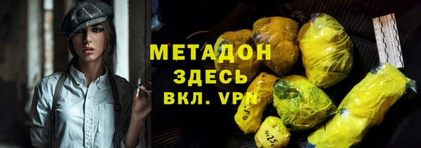 индика Дмитров