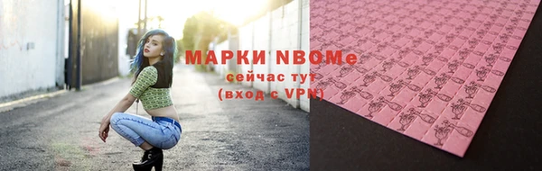 spice Дмитриев