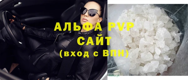 индика Дмитров