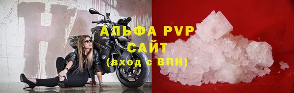 индика Дмитров