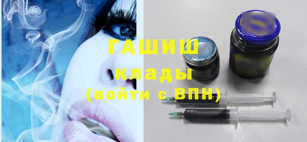 индика Дмитров