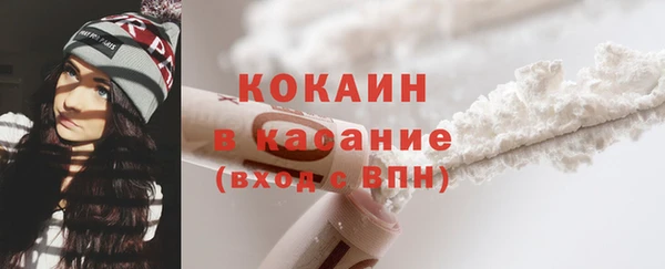 spice Дмитриев