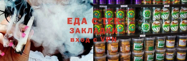 индика Дмитров