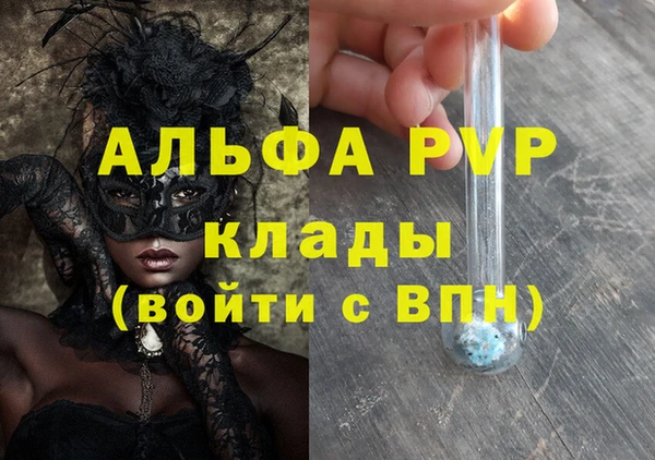 spice Дмитриев