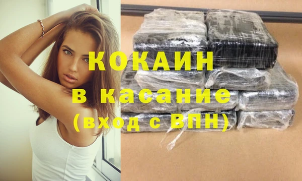 индика Дмитров