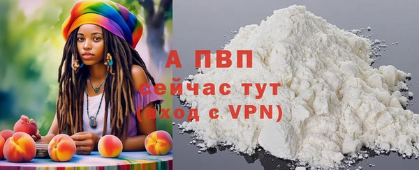 spice Дмитриев